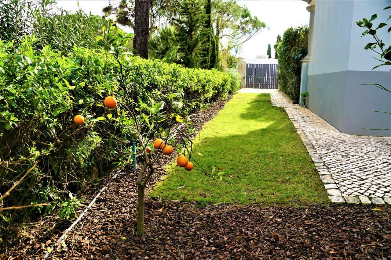 Charming Exceptional Golf Villa In Algarve FAO Kültér fotó